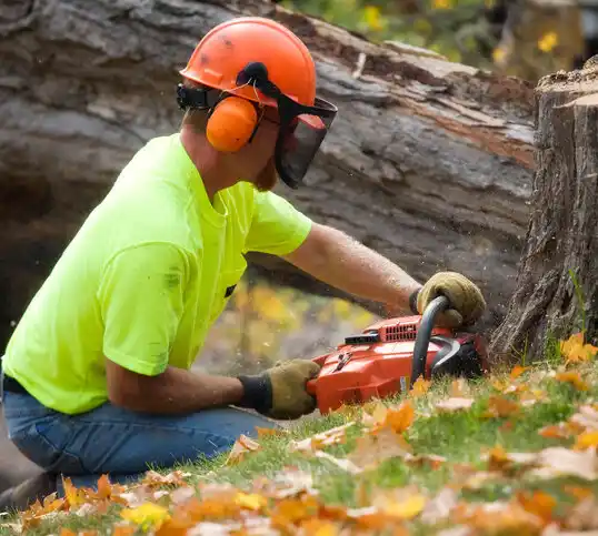 tree services New Windsor